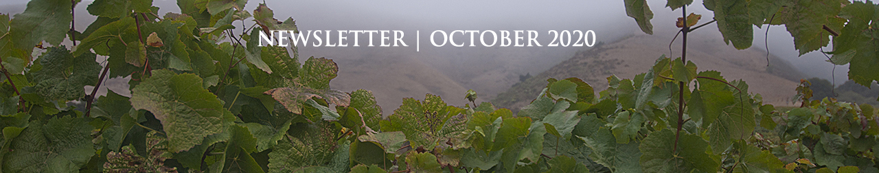Newsletter - September 2020